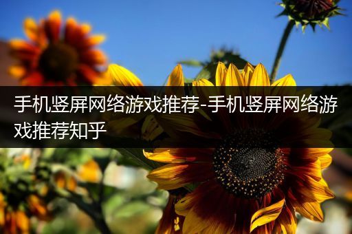 手机竖屏网络游戏推荐-手机竖屏网络游戏推荐知乎