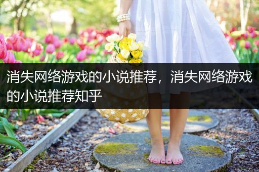 消失网络游戏的小说推荐，消失网络游戏的小说推荐知乎