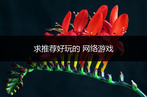 求推荐好玩的 网络游戏