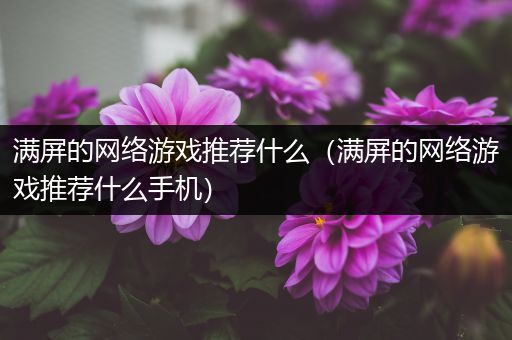 满屏的网络游戏推荐什么（满屏的网络游戏推荐什么手机）