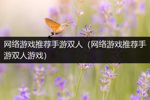 网络游戏推荐手游双人（网络游戏推荐手游双人游戏）