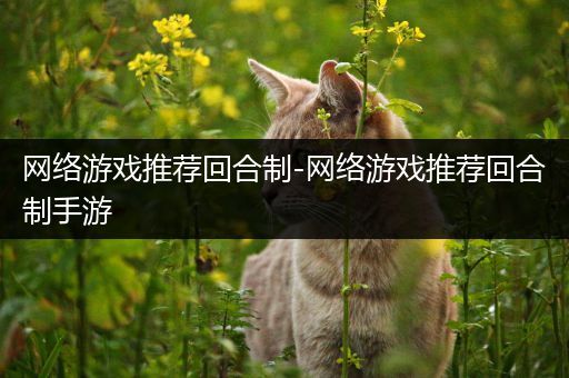 网络游戏推荐回合制-网络游戏推荐回合制手游