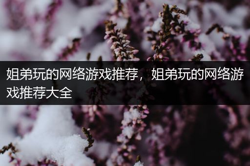 姐弟玩的网络游戏推荐，姐弟玩的网络游戏推荐大全