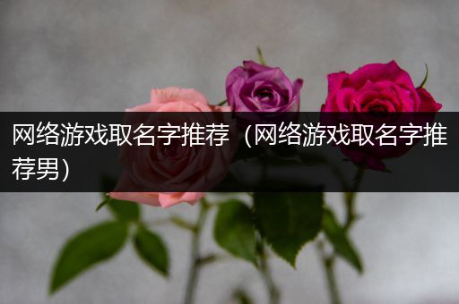 网络游戏取名字推荐（网络游戏取名字推荐男）