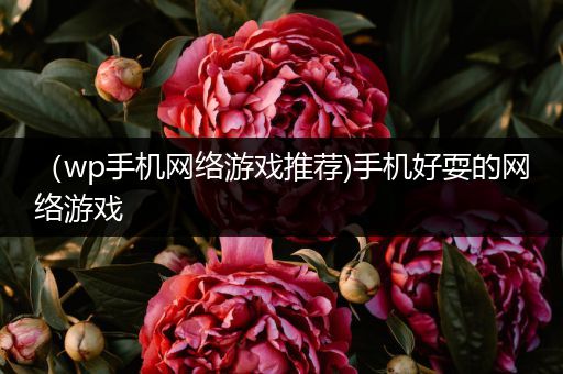 （wp手机网络游戏推荐)手机好耍的网络游戏
