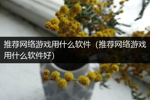 推荐网络游戏用什么软件（推荐网络游戏用什么软件好）