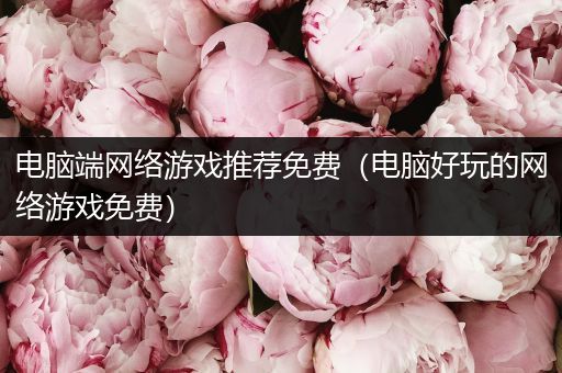 电脑端网络游戏推荐免费（电脑好玩的网络游戏免费）