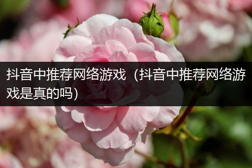 抖音中推荐网络游戏（抖音中推荐网络游戏是真的吗）