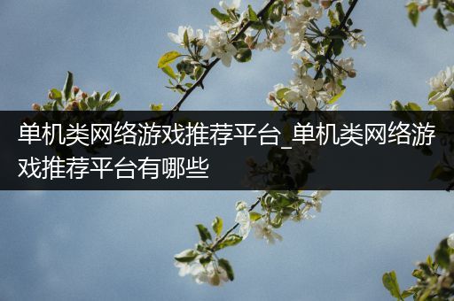 单机类网络游戏推荐平台_单机类网络游戏推荐平台有哪些
