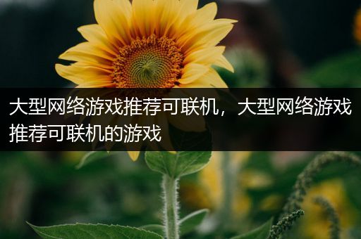 大型网络游戏推荐可联机，大型网络游戏推荐可联机的游戏