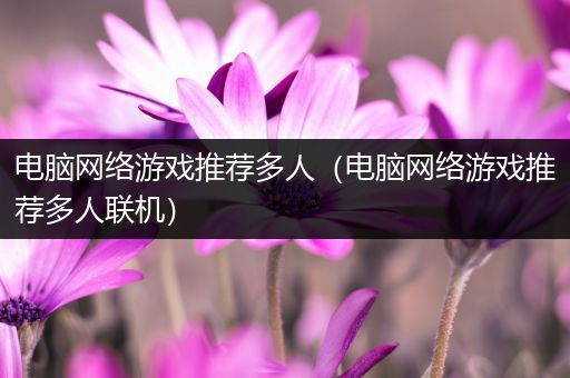 电脑网络游戏推荐多人（电脑网络游戏推荐多人联机）