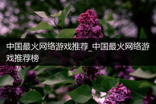 中国最火网络游戏推荐_中国最火网络游戏推荐榜