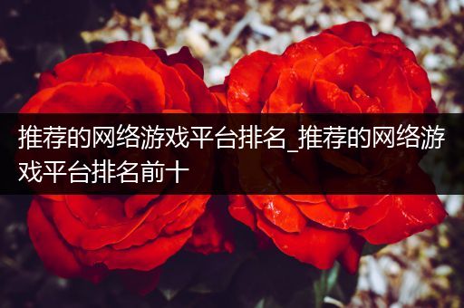 推荐的网络游戏平台排名_推荐的网络游戏平台排名前十