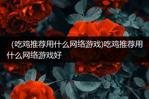 （吃鸡推荐用什么网络游戏)吃鸡推荐用什么网络游戏好