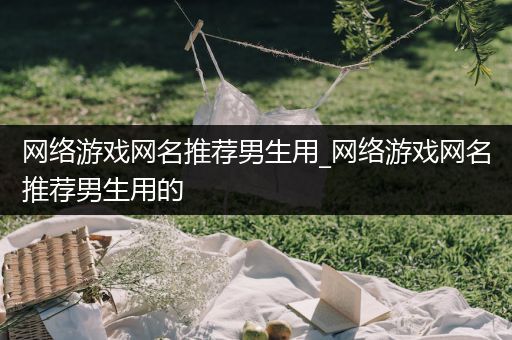 网络游戏网名推荐男生用_网络游戏网名推荐男生用的