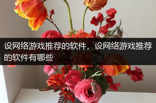 设网络游戏推荐的软件，设网络游戏推荐的软件有哪些