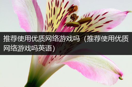 推荐使用优质网络游戏吗（推荐使用优质网络游戏吗英语）