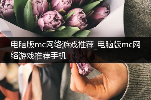 电脑版mc网络游戏推荐_电脑版mc网络游戏推荐手机