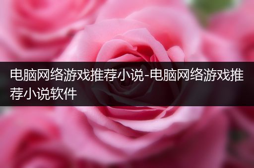 电脑网络游戏推荐小说-电脑网络游戏推荐小说软件