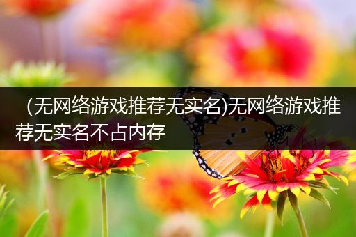 （无网络游戏推荐无实名)无网络游戏推荐无实名不占内存