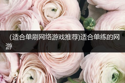 （适合单刷网络游戏推荐)适合单练的网游