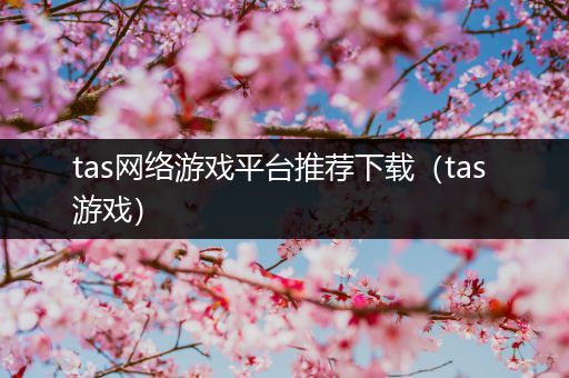 tas网络游戏平台推荐下载（tas 游戏）