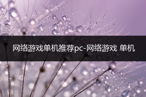 网络游戏单机推荐pc-网络游戏 单机