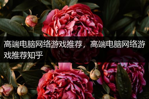 高端电脑网络游戏推荐，高端电脑网络游戏推荐知乎