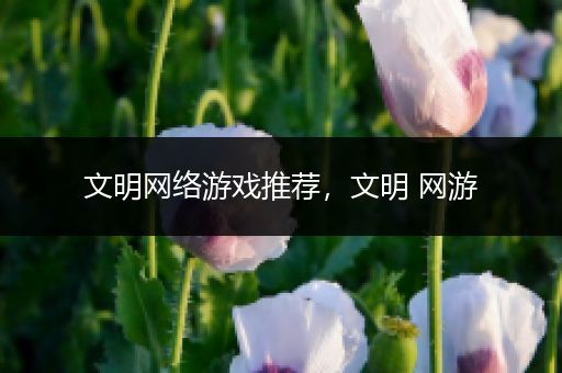 文明网络游戏推荐，文明 网游