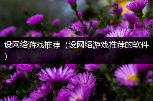 设网络游戏推荐（设网络游戏推荐的软件）