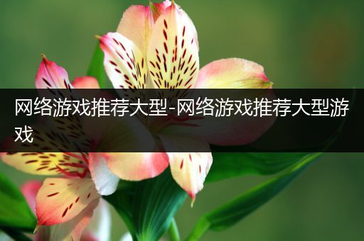 网络游戏推荐大型-网络游戏推荐大型游戏