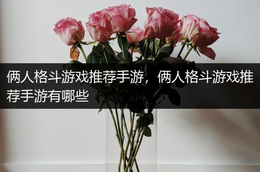 俩人格斗游戏推荐手游，俩人格斗游戏推荐手游有哪些