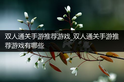 双人通关手游推荐游戏_双人通关手游推荐游戏有哪些