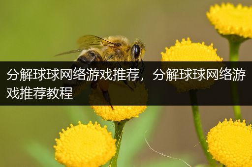 分解球球网络游戏推荐，分解球球网络游戏推荐教程