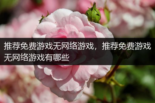 推荐免费游戏无网络游戏，推荐免费游戏无网络游戏有哪些