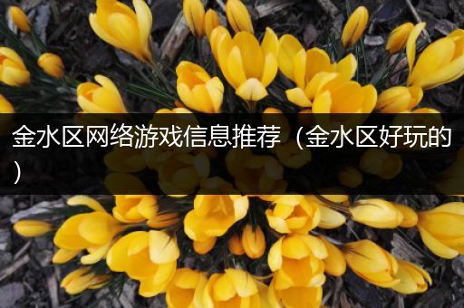 金水区网络游戏信息推荐（金水区好玩的）