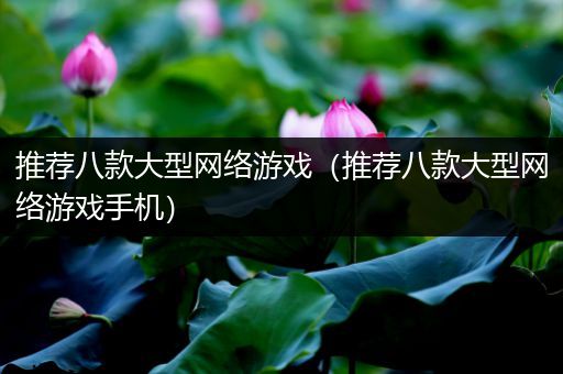 推荐八款大型网络游戏（推荐八款大型网络游戏手机）