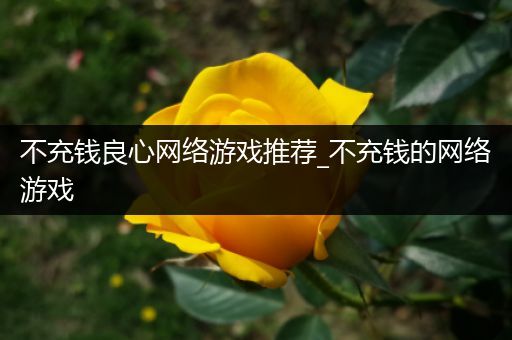 不充钱良心网络游戏推荐_不充钱的网络游戏