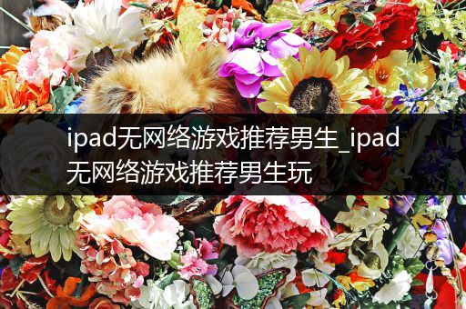 ipad无网络游戏推荐男生_ipad无网络游戏推荐男生玩