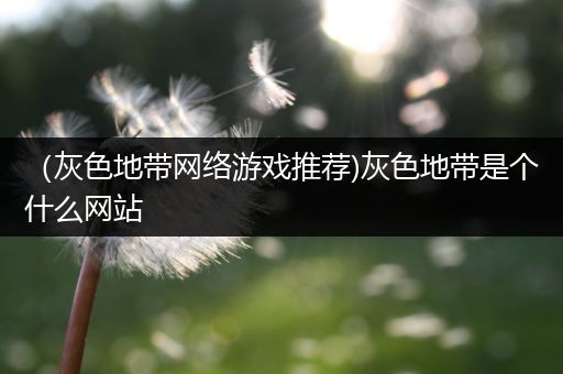 （灰色地带网络游戏推荐)灰色地带是个什么网站