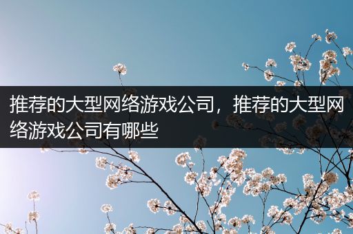 推荐的大型网络游戏公司，推荐的大型网络游戏公司有哪些