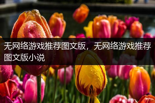 无网络游戏推荐图文版，无网络游戏推荐图文版小说