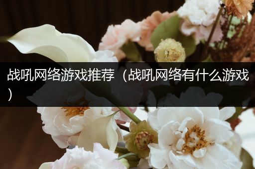 战吼网络游戏推荐（战吼网络有什么游戏）