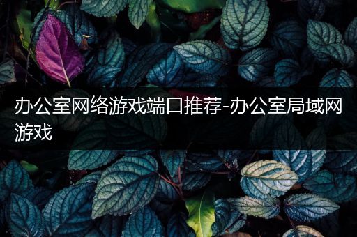 办公室网络游戏端口推荐-办公室局域网游戏