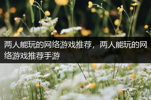 两人能玩的网络游戏推荐，两人能玩的网络游戏推荐手游