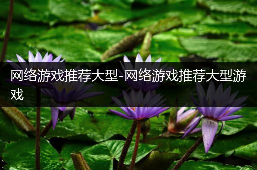 网络游戏推荐大型-网络游戏推荐大型游戏