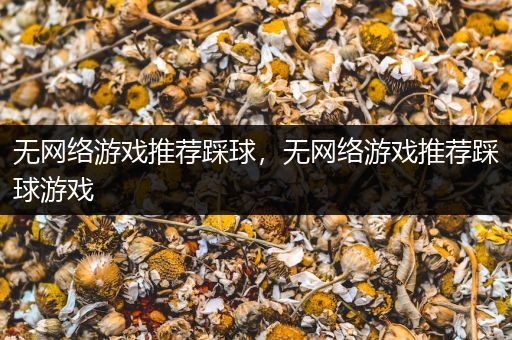 无网络游戏推荐踩球，无网络游戏推荐踩球游戏