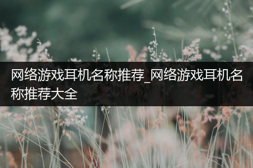 网络游戏耳机名称推荐_网络游戏耳机名称推荐大全