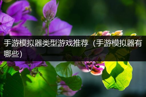 手游模拟器类型游戏推荐（手游模拟器有哪些）