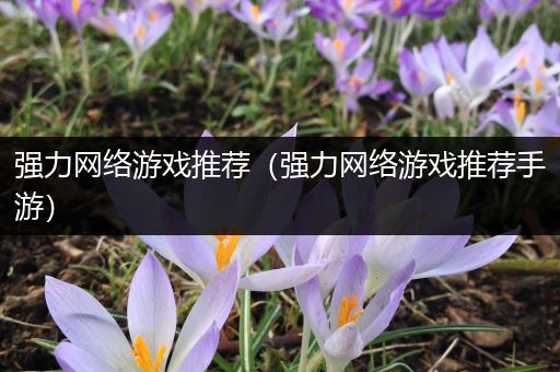 强力网络游戏推荐（强力网络游戏推荐手游）